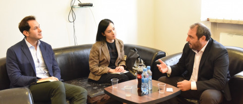 The meeting of Beka Natsvlishvili with the representatives of ILO