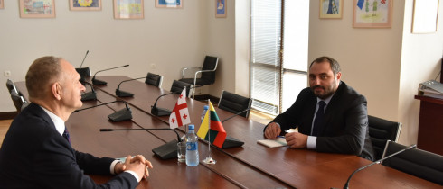 The meeting of Beka Natsvlishvili with the Ambassador of Lithuania