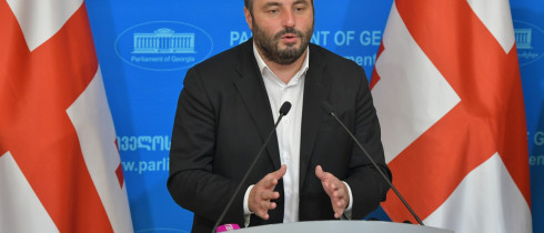 Beka Natsvlishvili registering the Bill on Minimal Salary