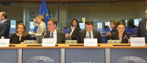 Speech by Kakhaber Kuchava at European Parliament's Committee on Foreign Affairs