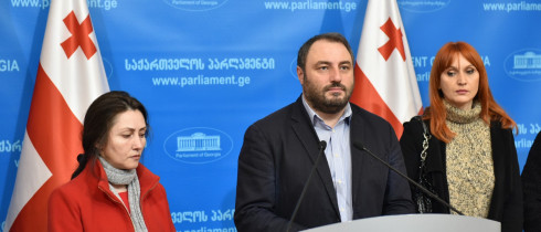 The Briefing by the Independent MP, Beka Natsvlishvili