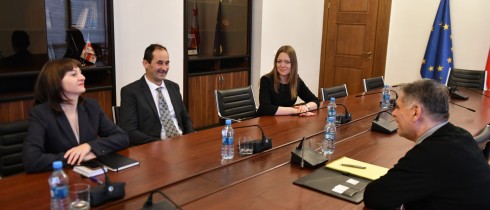 რომან კაკულია ევროპის ენერგეტიკული გაერთიანების სამდივნოს დირექტორს შეხვდა