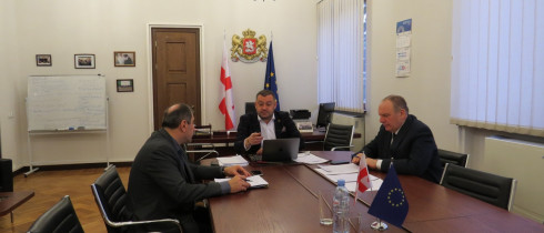 Beka Odisharia and Givi Chichinadze heard the updated information from the Ministry of Foreign Affairs