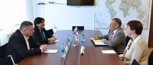 The meeting of Irma Inashvili with the Ambassador of Israel