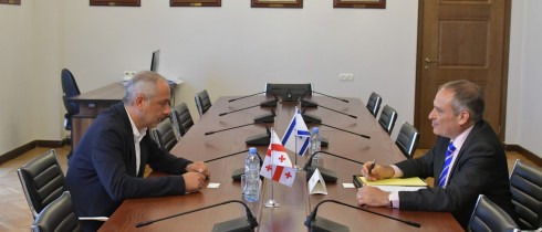 The meeting of Irakli Sesiashvili with the Ambassador of Israel
