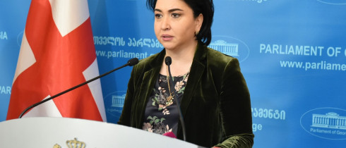საქართველოს პარლამენტის წევრის, ეკა ბესელიას ბრიფინგი