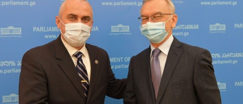Meeting of Vladimer Chachibaia with Ambassador of Ukraine