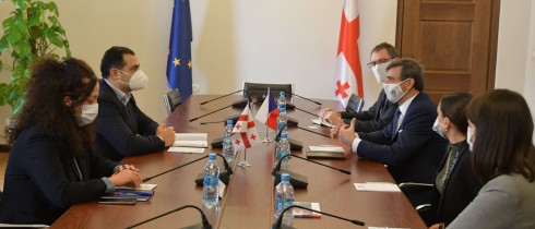 ალექსანდრე მოწერელია ჩეხეთის ელჩს შეხვდა