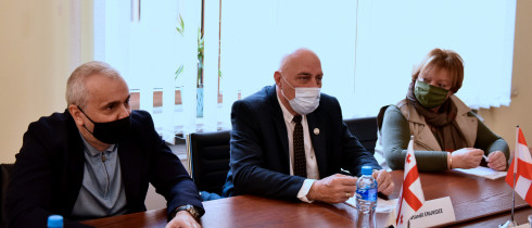 ავთანდილ ენუქიძე საქართველოში ავსტრიის რესპუბლიკის ელჩს, თომას მიულმანს შეხვდა