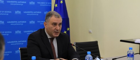 ადამიანის უფლებათა დაცვისა და სამოქალაქო ინტეგრაციის კომიტეტის თავმჯდომარის მოადგილედ ანა ბუჩუკური აირჩიეს