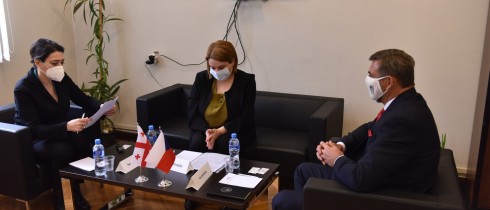 თამარ ჩარკვიანი პეტერ მიკისკას შეხვდა