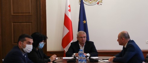 Rules and Procedural Issues Committee Discussing Termination of MP’s Credentials for Mamuka Khazaradze