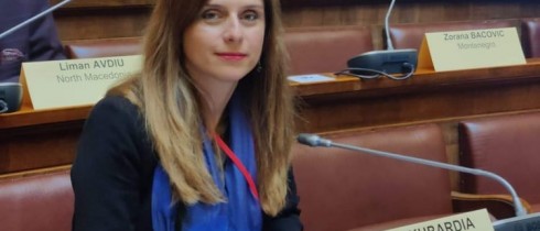 Teona Akubardia Attending 101st NATO PA Rose-Roth Seminar