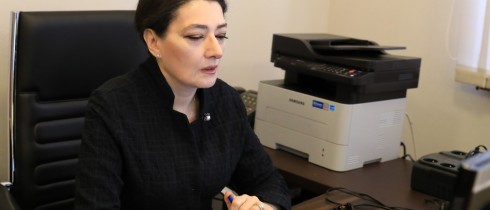 Online meeting of Tamar Charkviani with the MEP Andrius Kubilius