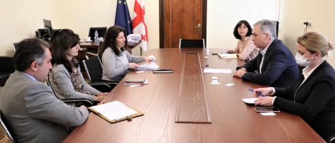 დავით სერგეენკო USAID-ის საქართველოს მისიის წარმომადგენლებს შეხვდა