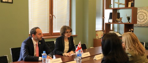 Meeting of Eliso Bolkvadze and Irakli Mezurnishvili with Ambassador of Turkey