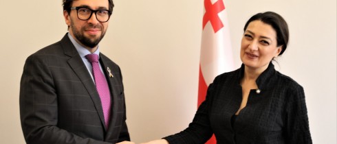 თამარ ჩარკვიანი ნატოს სამოკავშირეო ოფისის ხელმძღვანელს ალექსანდრე ვინიკოვს შეხვდა