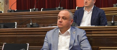 Edisher Toloraia elected as the Deputy Chair of the Regional Policy and Self-Government Committee