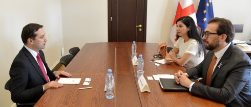 Meeting of Levan Ioseliani with Head of NATO Liaison Office