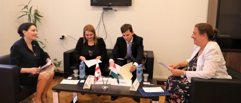 თამარ ჩარკვიანი უნგრეთის ელჩს შეხვდა