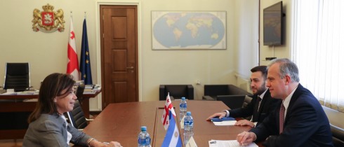 გიორგი ხელაშვილი არგენტინის რესპუბლიკის საგანგებო და სრულუფლებიან ელჩს შეხვდა