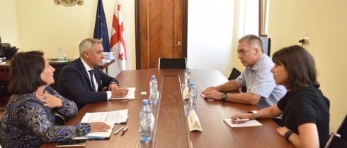 დავით სერგეენკო გაეროს ბავშვთა ფონდის რეგიონულ მრჩეველს შეხვდა