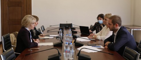 ეკა სეფაშვილი ფარმაცევტული სფეროს საქმიანობის მარეგულირებელი ორგანოების წარმომადგენლებს შეხვდა