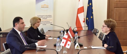 Meeting of Giorgi Amilakhvari with the Ambassador of Latvia