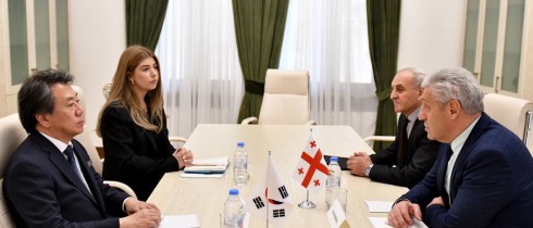 შოთა ხაბარელი კორეის რესპუბლიკის საელჩოს საქმის დროებით რწმუნებულს შეხვდა