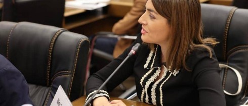Nino Iobashvili Participating in Meeting of Group of Young Delegates of OSCE PA
