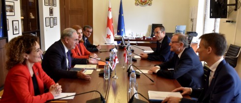 ირაკლი კოვზანაძე ავსტრიელ კოლეგას კარლჰაინც კოპფს შეხვდა