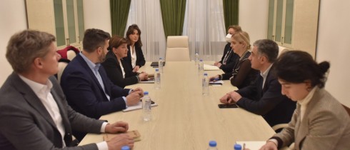 ხატია წილოსანი სტოკჰოლმის ინსტიტუტის მკვლევარებს შეხვდა