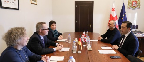 Levan Ioseliani and Alexander Elisashvili discussing compliance with the EU 12-point Recommendations with the German Ambassador
