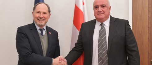 Irakli Medzmariashvili introducing the main directions of the activity of the Sports and Youth Issues Committee to Pawel Herczynski