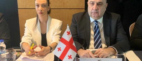 Ramaz Nikolaishvili participated in a meeting in Istanbul