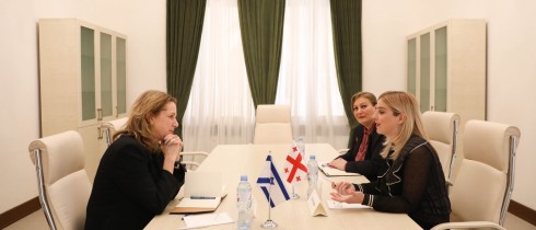 ხატია წილოსანი ისრაელის ელჩს ჰადას მეიცადს შეხვდა