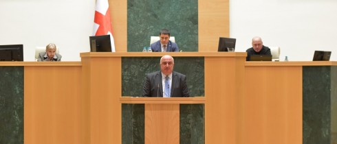 Irakli Medzmariashvili introduced the Activity Report for 2022 of the Sports and Youth Issues Committee