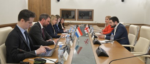 ლევან ქარუმიძე და ხატია წილოსანი ლუქსემბურგის დიდი საჰერცოგოს საპარლამენტო დელეგაციის წევრებს შეხვდნენ