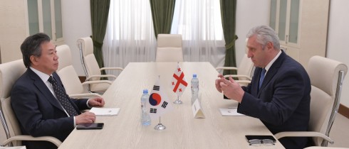 Meeting of Shota Khabareli with the Chargé d'Affaires of the Republic of Korea