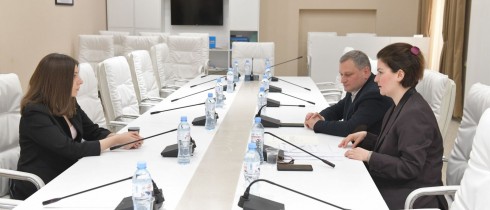 Ana Natsvlishvili and Armaz Akhvlediani Initiating Draft Law