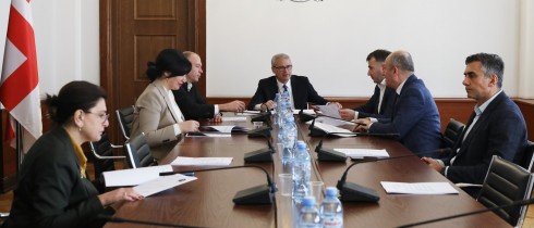 Rules and Procedural Issues Committee Discussing Recognition of Credentials of Giorgi Chakvetadze, Tengiz Sharmanashvili, Merab Kvaraia, Salome Kurasbediani, and Irakli Kirtskhalia