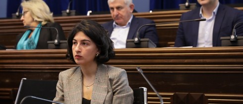 გარემოს დაცვისა და ბუნებრივი რესურსების კომიტეტის თავმჯდომარის მოადგილედ სალომე ქურასბედიანი აირჩიეს