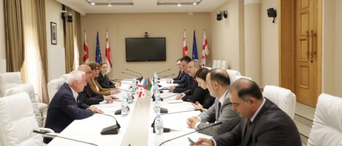 ირაკლი მეძმარიაშვილი აზერბაიჯანის მილი მეჯლისის თავმჯდომარის მოადგილეს შეხვდა