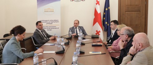 Meeting of the Education and Science Committee members with Giorgi Amilakhvari