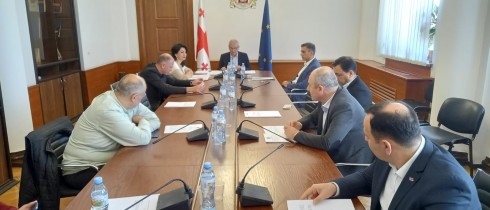 The Procedural Issues and Rules Committee approved the recognition of the Credentials for Giorgi Khakhubia and Salome Jinjolava