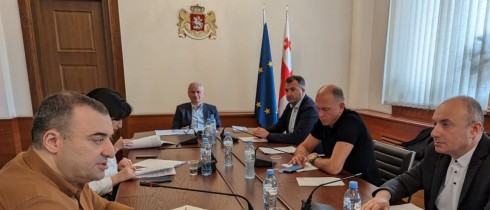 Irakli Kadagishvili: improvement of the current mechanisms and procedures will ensure flexibility of the Rules of Procedure and its adequacy to the challenges