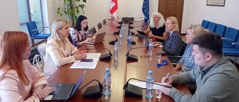ხატია წილოსანი ევროკავშირის საჯარო სამსახურების დაძმობილების (TWINNING) პროექტის წარმომადგენლებს შეხვდა