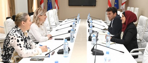 Meeting of Khatia Tsilosani with Director of People in Need on Legislative Changes, Tax and Social Benefits