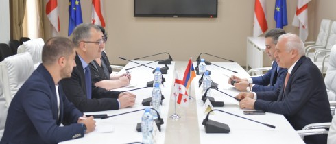 Sozar Subari and the Ambassador of Armenia deliberating on the bilateral relations