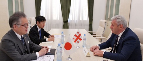 Meeting of Shota Khabareli with the Ambassador of Japan